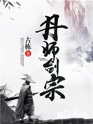 丹师剑宗下载全本